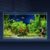 10 Gallon Ultra Clear Glass Fish Tank