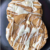 White Chocolate Snickerdoodle Cookies