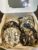 Assorted Cookie Box